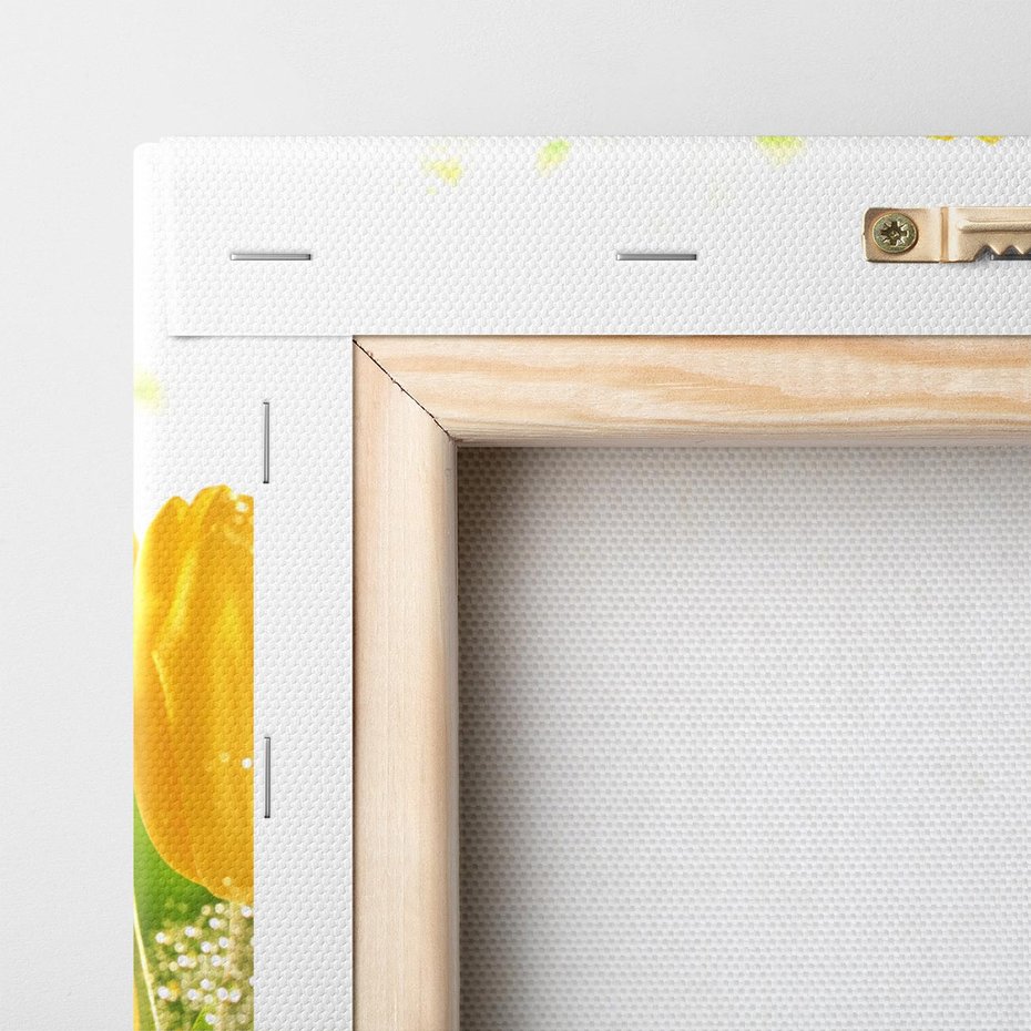 Obraz na płótnie 50x70 - Tulipany - szczyt kwiatowego piękna - tulipany, kwiaty