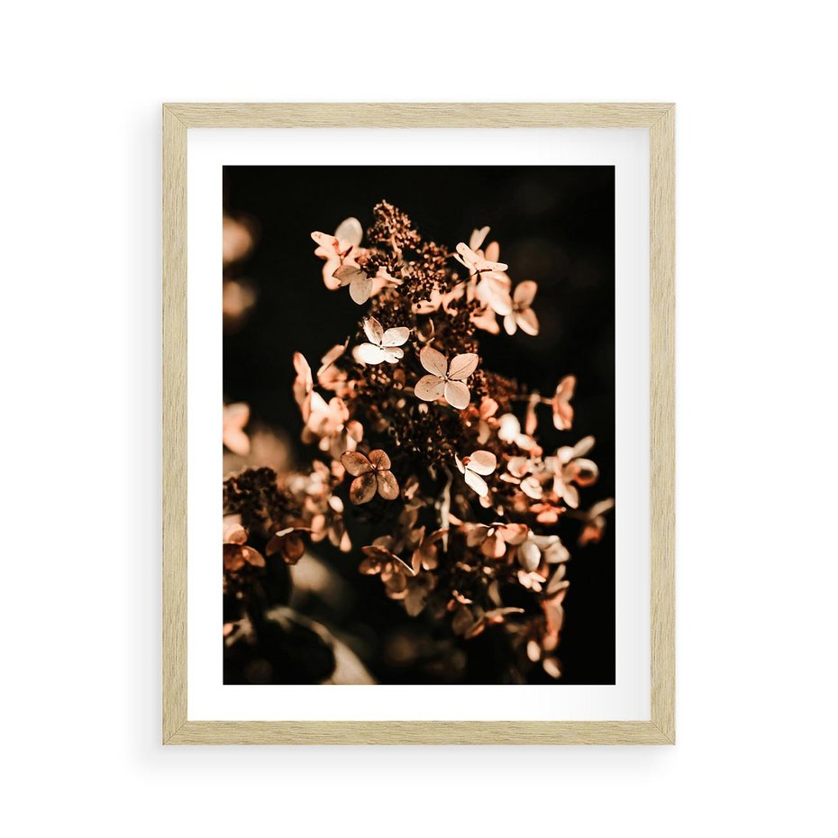 Plakat w ramie 40x50 - Hortensja - Suchy Kwiat w Sztuce - hortensja, suchy kwiat - rama drewno