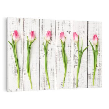 Obraz na płótnie 70x50 - Kwintesencja Piękna - kwiaty, tulipany