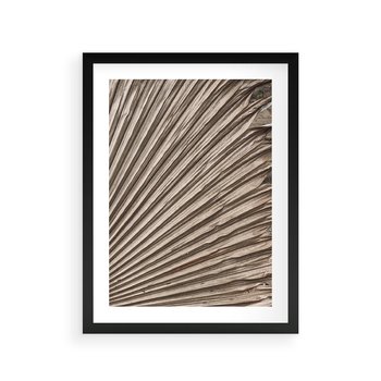 Plakat w ramie 50x70 - Liść Palmy w Wyjątkowej Kompozycji - suchy liść palmy, boho styl - rama czarna