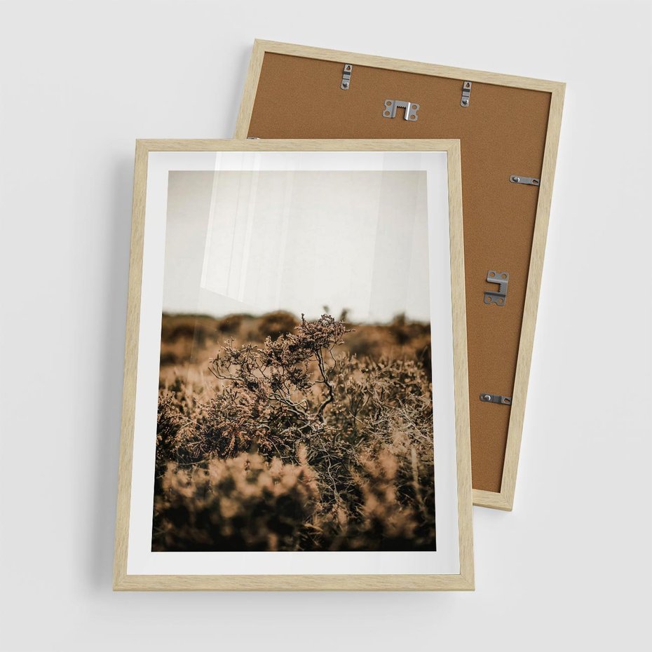 Plakat w ramie 50x70 - Krajobraz W Naturze: Beże i Brązy - suche krzewy, natura - rama drewno