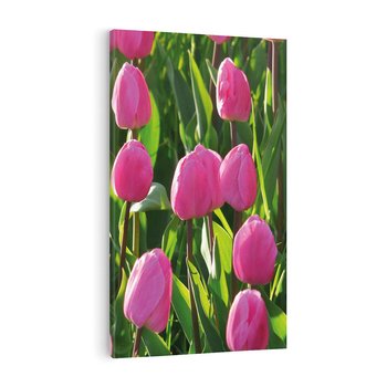 Obraz na płótnie 80x120 - Tulipanowa harmonia - tulipany, kwiaty