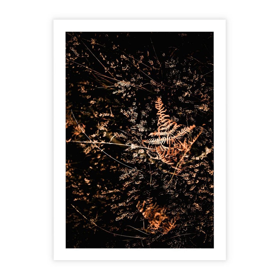 Plakat bez ramy 30x40 - Jesienna Melodia - suche trawy, paprocie