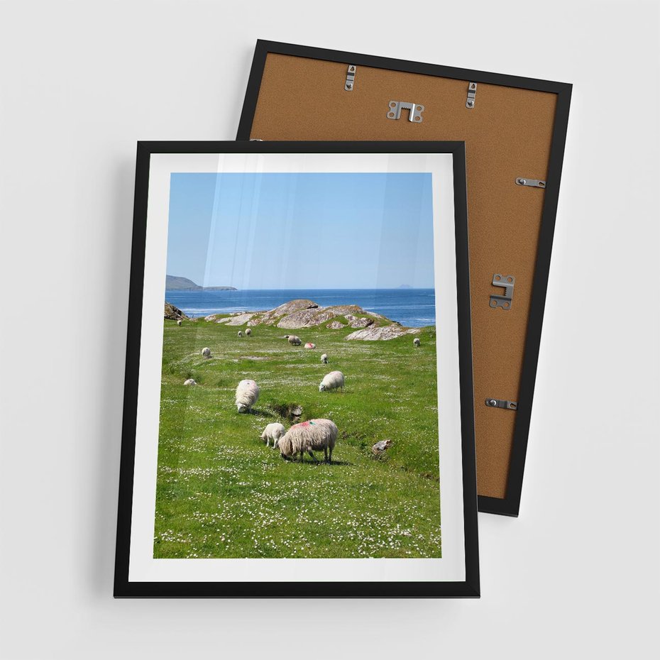 Plakat w ramie 50x70 - Górskie Owce - góry, owce - rama czarna