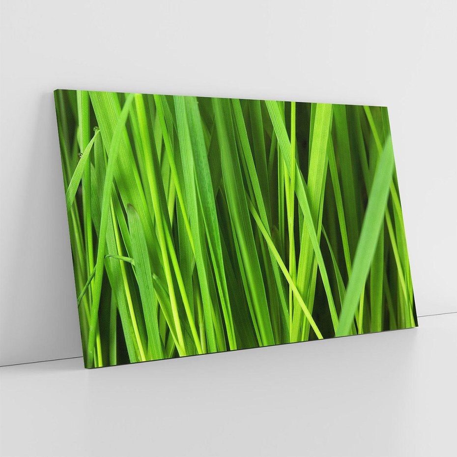 Obraz na płótnie 100x70 - Trawa w abstrakcji: natura przekształcona - trawa, abstrakcja