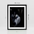 Plakat w ramie 30x40 - Wilk i husky: siła przyjaźni - wilk, husky - rama czarna