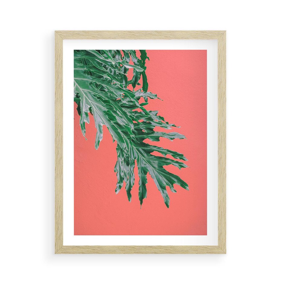 Plakat w ramie 50x70 - Energetyczna Eksplozja Natury - liście, kolor - rama drewno