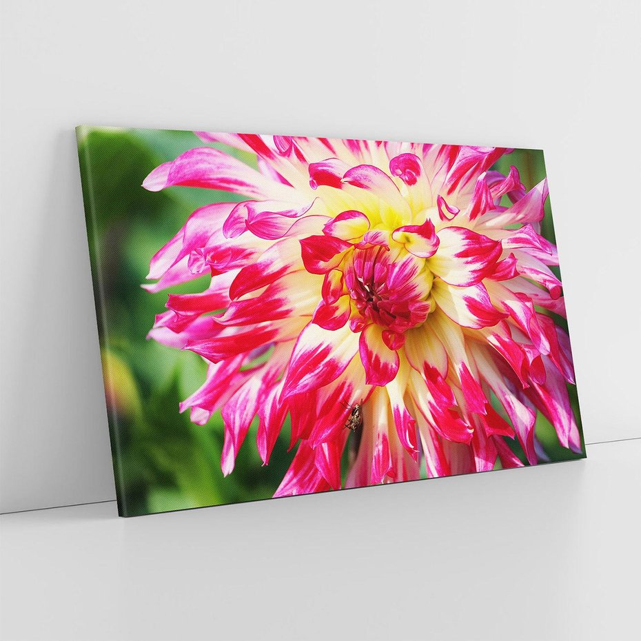 Obraz na płótnie 100x70 - Kwiatowa harmonia - kwiat, kwiaty