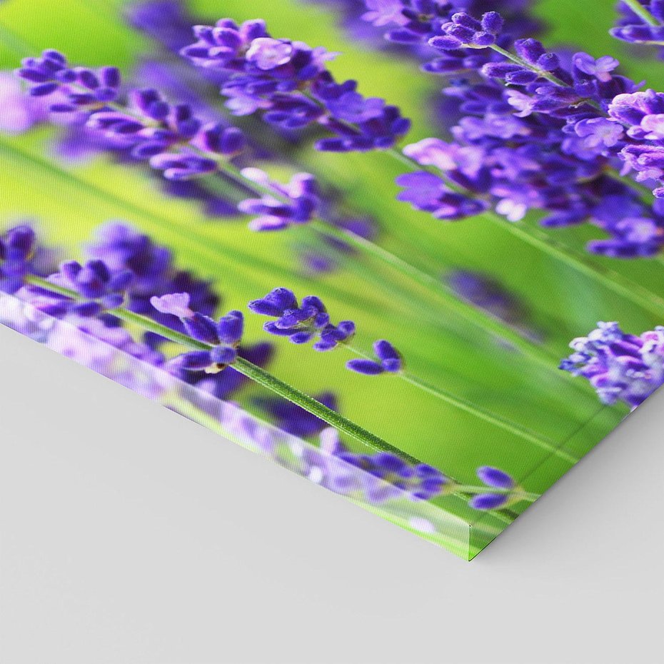 Obraz na płótnie 120x40 - Elegancka lawenda w pełnym rozkwicie - lawenda, kwiaty