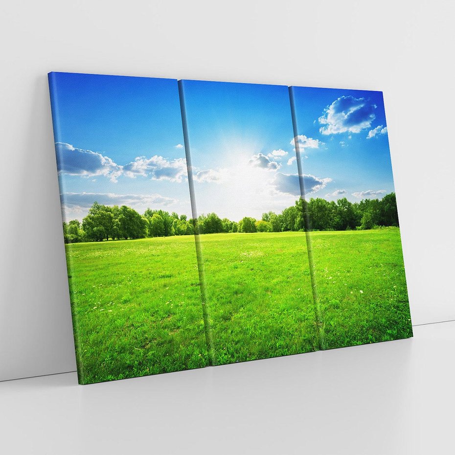 Obraz na płótnie 120x80 - Idylla na łące drzew - łąka, drzewa