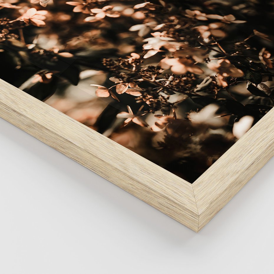 Zestaw obrazy w ramie 40x50 galeria - Hortensja, kwiaty, suche, cytat - rama drewno