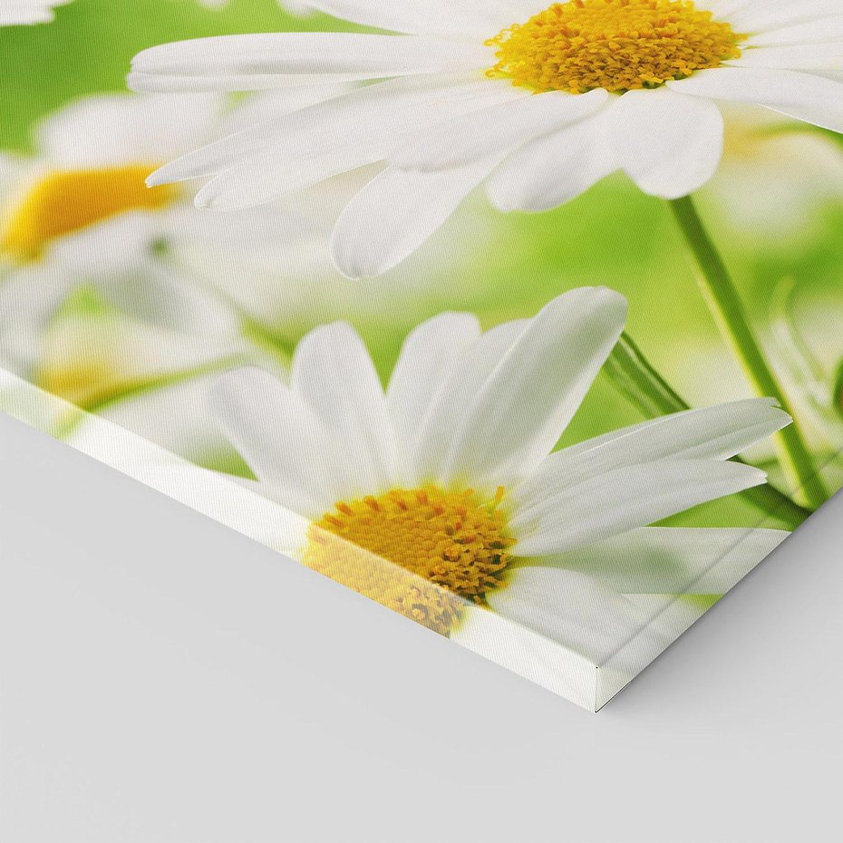 Obraz na płótnie 70x50 - Stokrotka: delikatność natury - stokrotka, kwiat