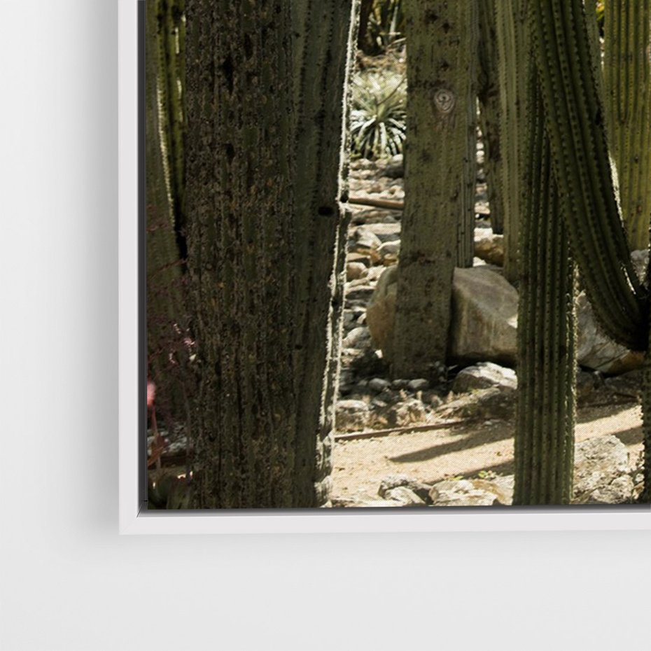 Obraz w ramie 80x120 - Wyjątkowy Klimat Boho - kaktusy, pustynia - rama biała