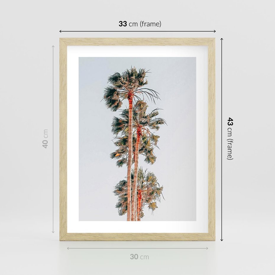 Plakat w ramie 30x40 - Kształty Palm - palmy, zdjęcie - rama drewno