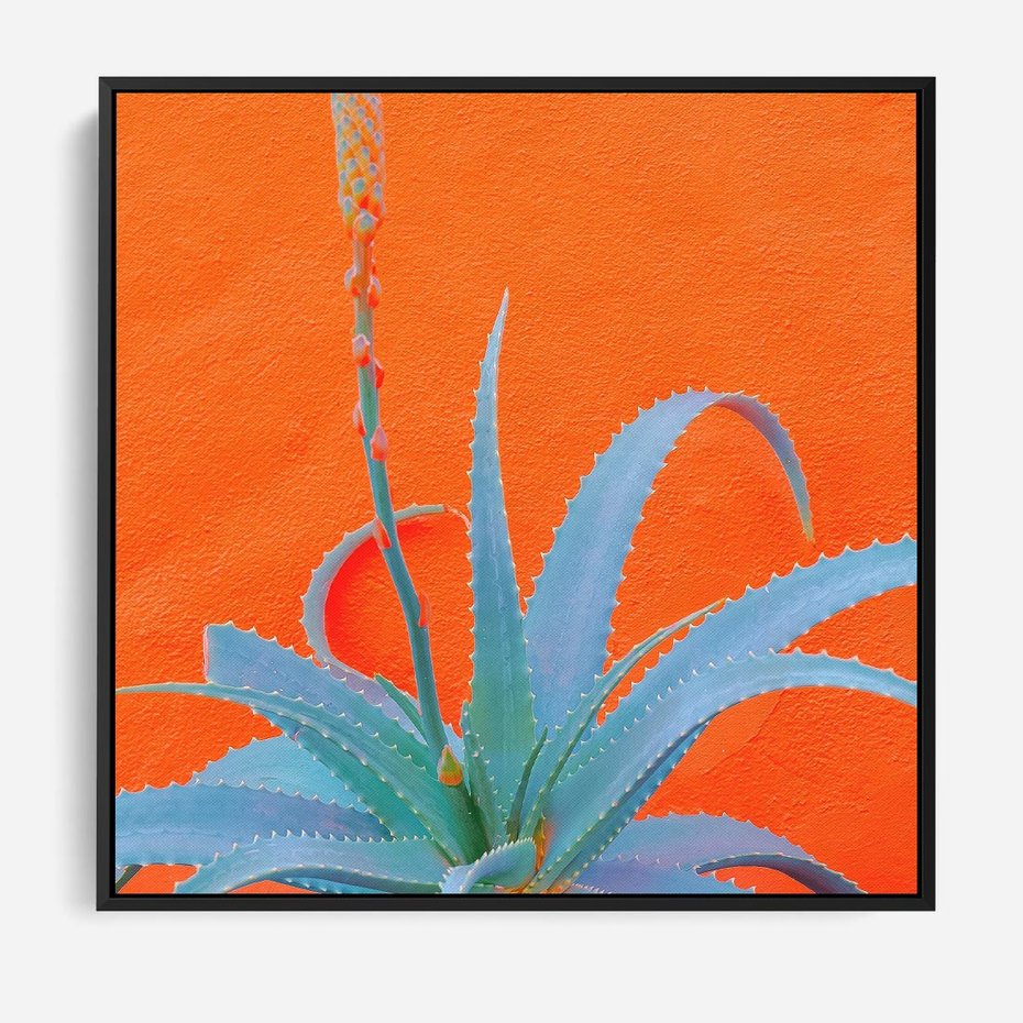 Obraz w ramie 50x50 - Naturalna Harmonia - kaktusy, liście - rama czarna