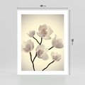 Plakat bez ramy 40x50 - Elegancja Natury - magnolia, białe