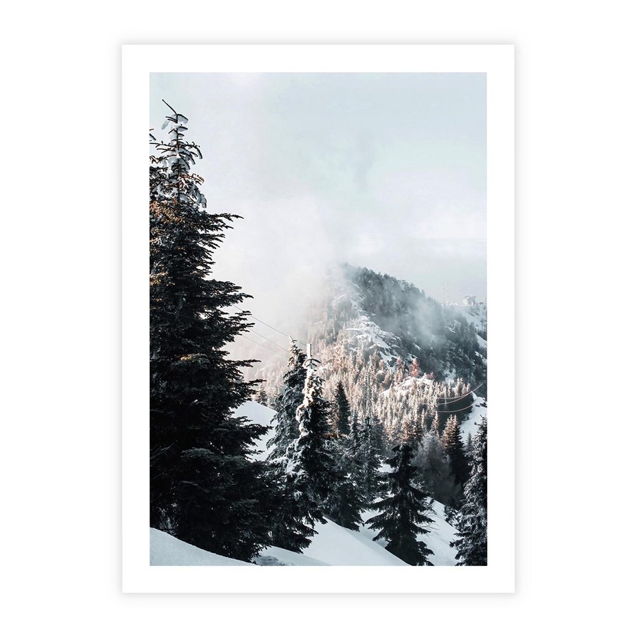 Plakat bez ramy 50x70 - Góry, Las i Śnieg na Obrazie - góry, las