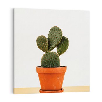 Obraz na płótnie 30x30 - Kwiatowy taniec kaktusa - kaktus, kwiat