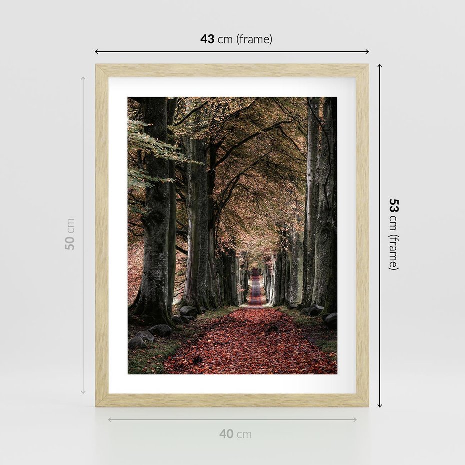 Plakat w ramie 40x50 - Spacer po Leśnej Drodze - ścieżka w lesie, jesień suche liście - rama drewno