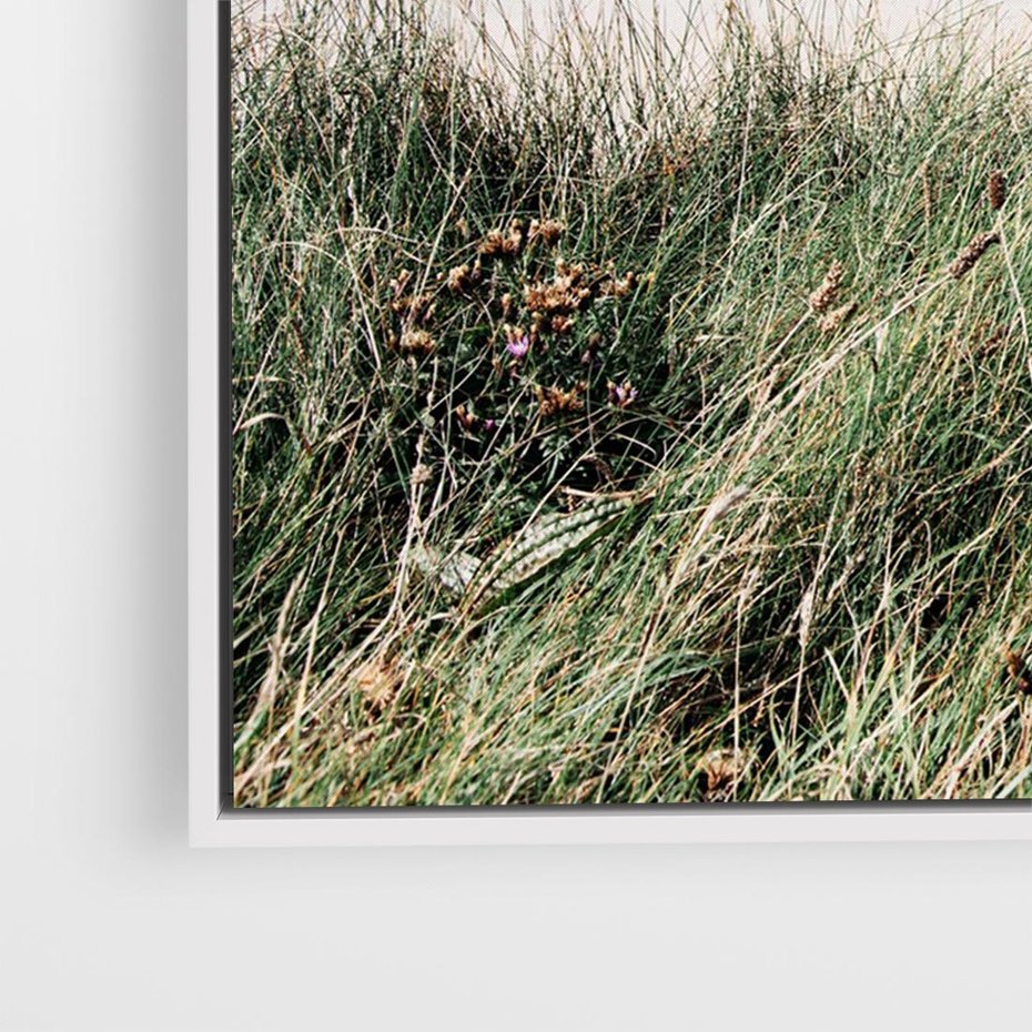 Obraz w ramie 100x70 - Harmonia Natury - widok z wydm, wydmy porośnięte trawami - rama biała