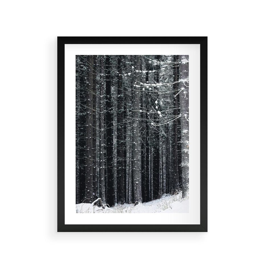 Plakat w ramie 30x40 - Leśna Cisza: Malowniczy Pejzaż Zimą - las zimą, ośnieżone pnie drzew - rama czarna