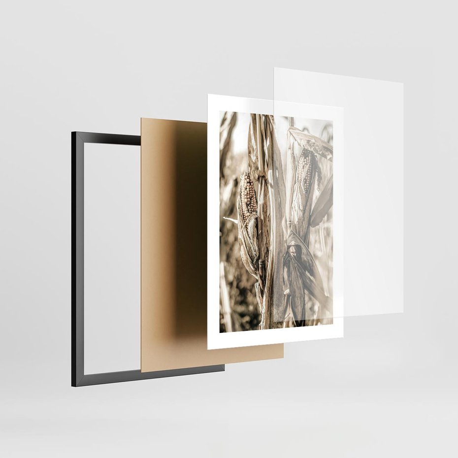 Plakat w ramie 30x40 - Retro Pole Kukurydzy - retro zdjęcie, sepia - rama czarna