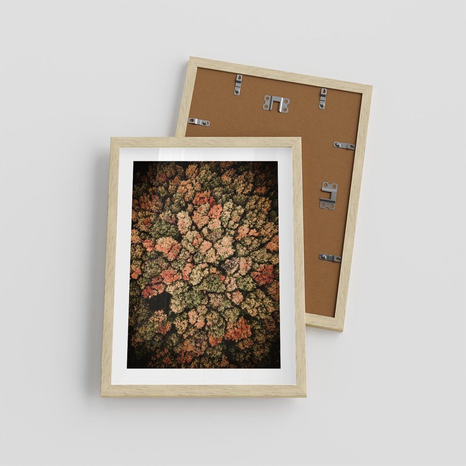 Plakat w ramie 30x40 - Jesień z Lotu Ptaka: Malowniczy Las - las jesienią z lotu ptaka - rama drewno