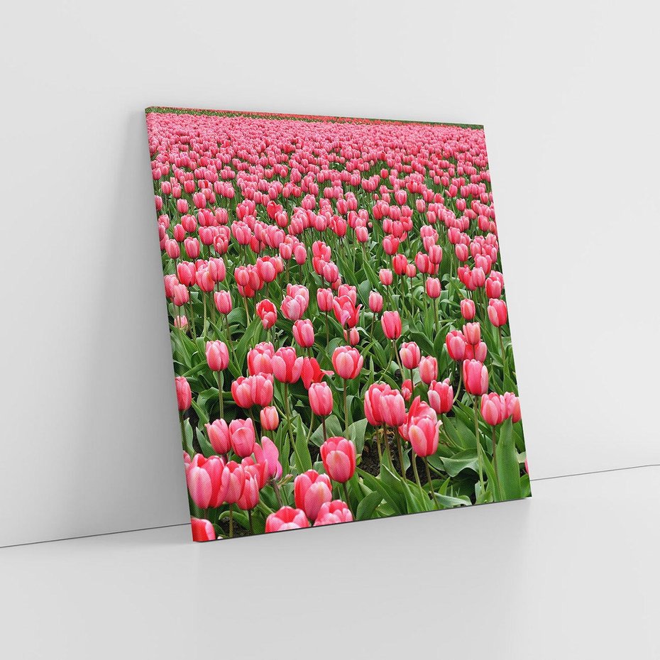 Obraz na płótnie 40x40 - Tulipanowe Elegancja - tulipany, kwiat