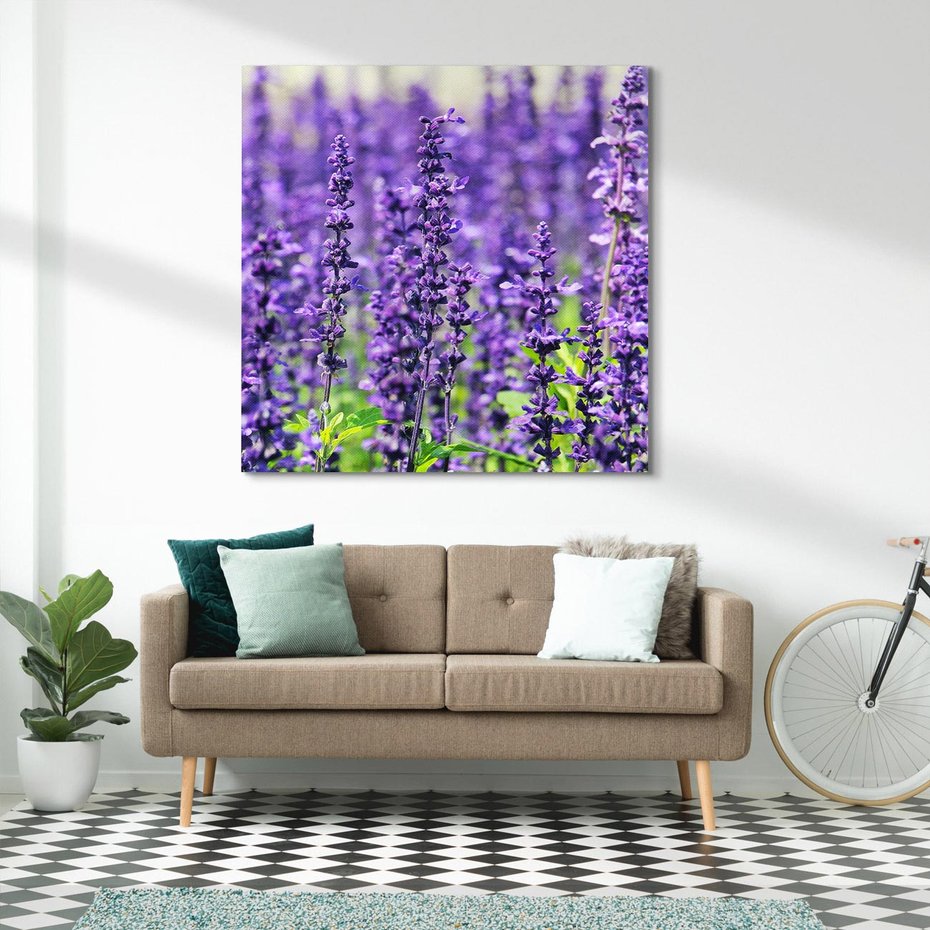 Obraz na płótnie 40x40 - Lawendowa Mgła - lawenda, kwiat