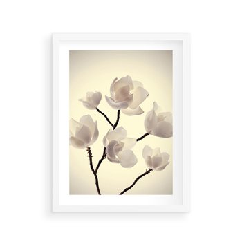 Plakat w ramie 50x70 - Elegancja Natury - magnolia, białe - rama biała