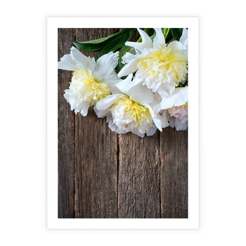 Plakat bez ramy 21x30 - Relaksująca Harmonia - kwiaty, spa