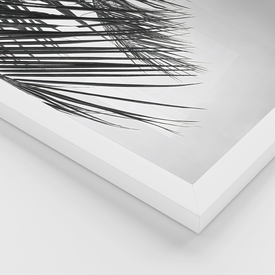 Zestaw obrazy w ramie 30x40 galeria - Palmy, liście, cytat, napis - rama biała