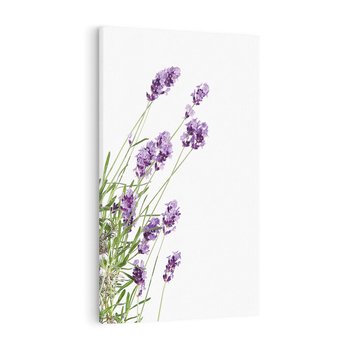 Obraz na płótnie 70x100 - Delikatny Urok - lawenda, kwiaty