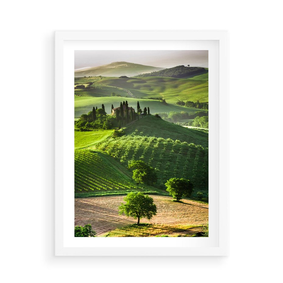 Plakat w ramie 50x70 - Prowansja: malownicze winnice w kraju Włoch - Prowansja, Włochy - rama biała