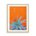 Plakat w ramie 50x70 - Naturalna Harmonia - kaktusy, liście - rama drewno