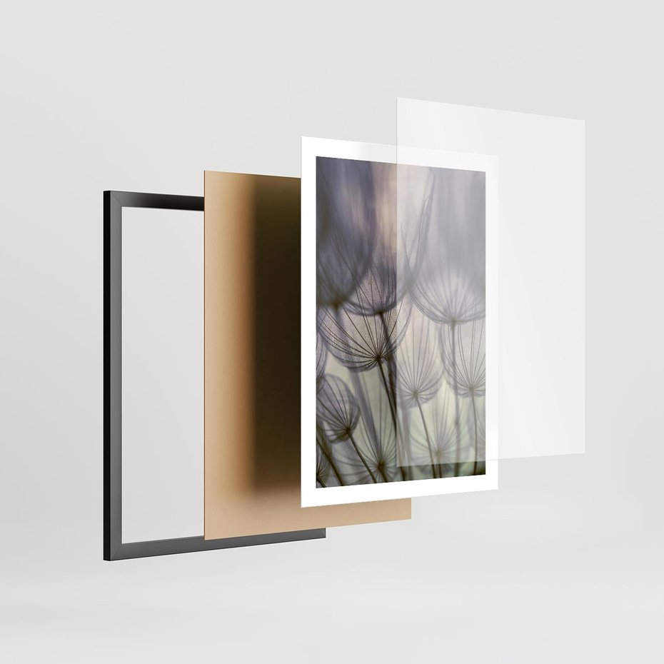 Plakat w ramie 50x70 - Makro dmuchawiec - piękno drobnych detali - dmuchawce, makro - rama czarna