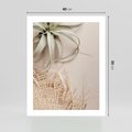 Plakat bez ramy 40x50 - Aloes w Stylu Boho - kompozycja, wiklina