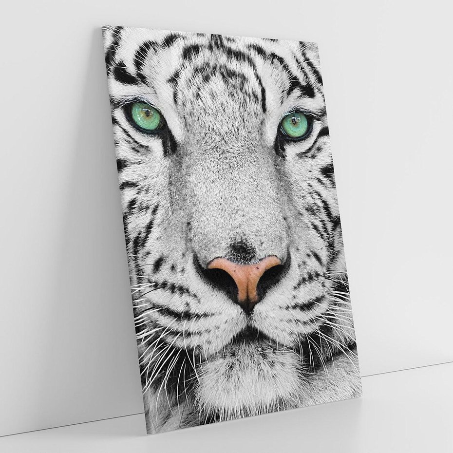 Obraz na płótnie 50x70 - Magia Białego Tygrysa - biały, tygrys