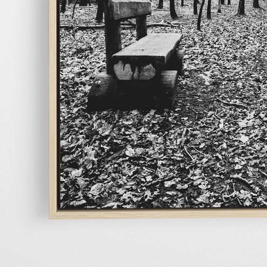 Obraz w ramie 80x120 - Spadające Liście - czarno białe zdjecie, park - rama drewno