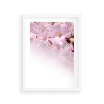Plakat w ramie 50x70 - Kwitnąca Wiśnia - kwiaty, kwitnącej - rama biała