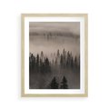 Plakat w ramie 40x50 - Mglista Opowieść Lasu - las, mgła - rama drewno