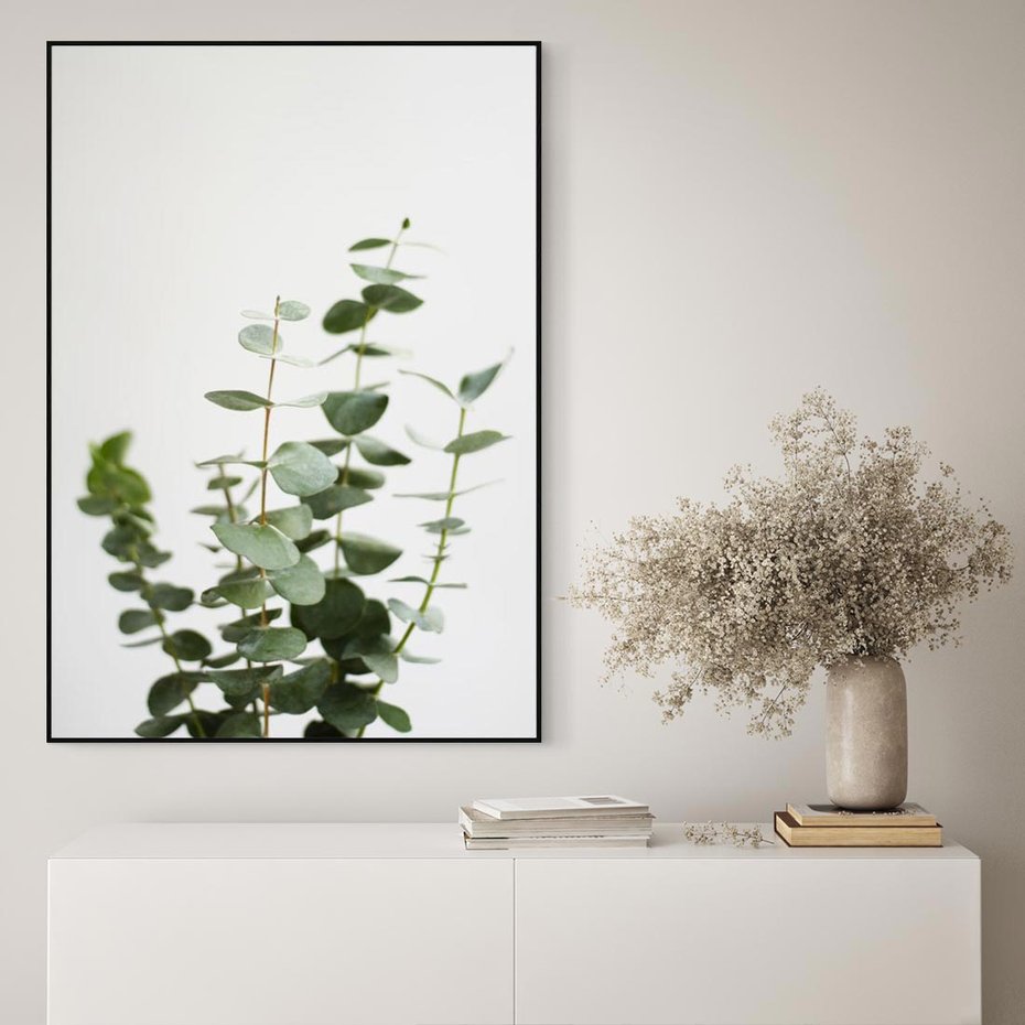 Obraz w ramie 50x70 - Żywa eukaliptusowa zieleń - eukaliptus, zielone - rama czarna