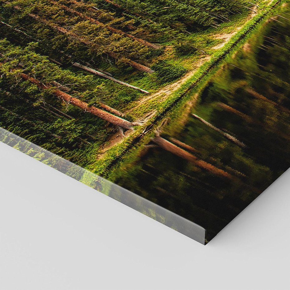 Obraz na płótnie 120x60 - Spokój nad jeziorem wśród lasu - las, jezioro