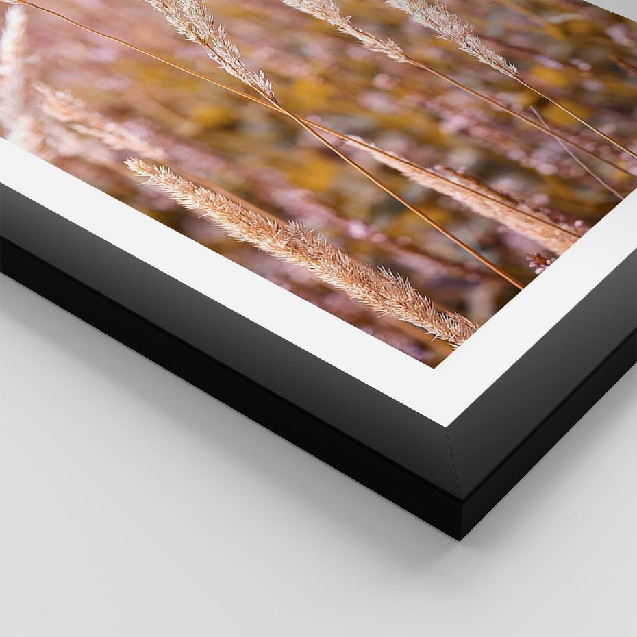 Plakat w ramie 40x50 - Sucha Trawa w Sierpniu - trawy, łąka - rama czarna
