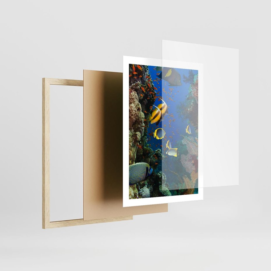 Plakat w ramie 50x70 - Podwodne królestwo rafy koralowej - rafa, koralowa - rama drewno