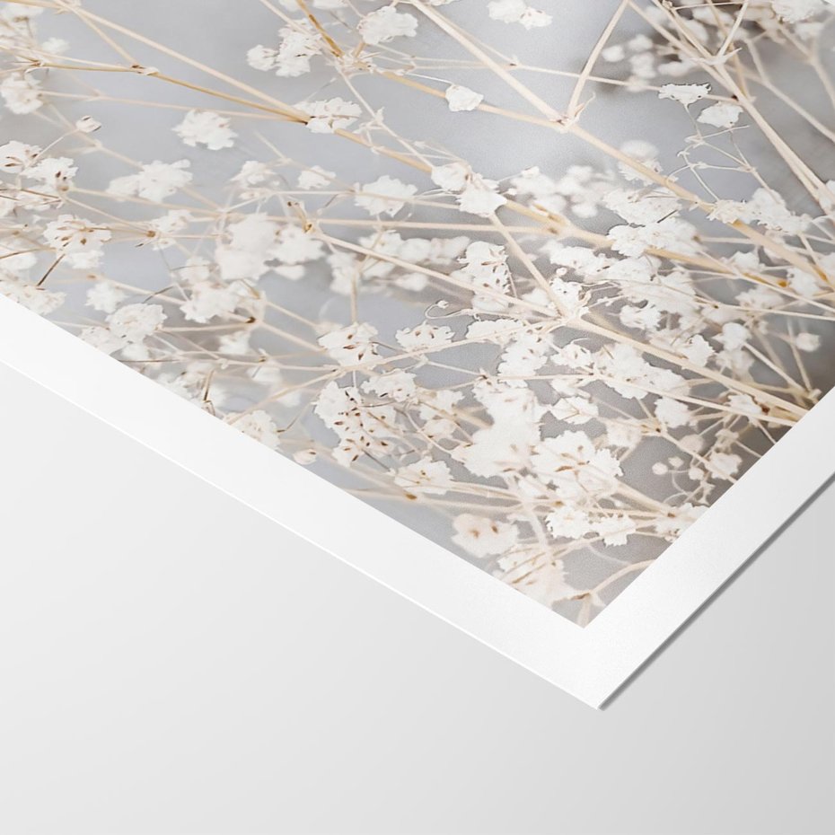 Plakat bez ramy 30x40 - Białe Drobne Kwiaty - gipsówka, białe drobne kwiatki