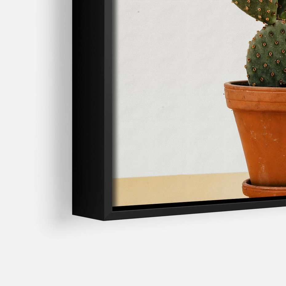 Obraz w ramie 50x50 - Kwiatowy taniec kaktusa - kaktus, kwiat - rama czarna