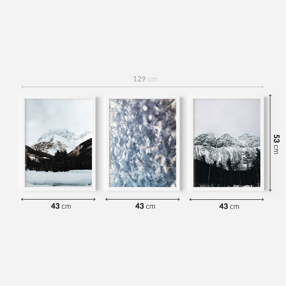 Zestaw obrazy w ramie 40x50 galeria - Zima, góry, śnieg, szron - rama biała
