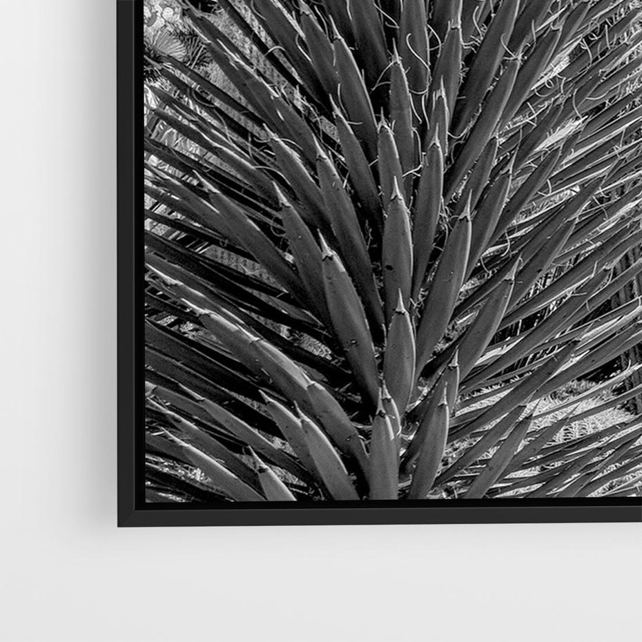 Obraz w ramie 100x70 - Pustynny Klimat - czarno białe zdjecie, pustynia - rama czarna