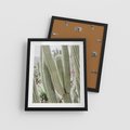 Plakat w ramie 40x50 - Duże Kaktusy w Pejzażu - kaktus, duże kaktusy na pustyni - rama czarna